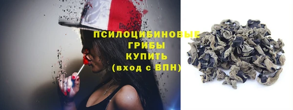 прущие грибы Ладушкин