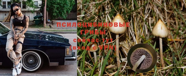 стаф Лабытнанги