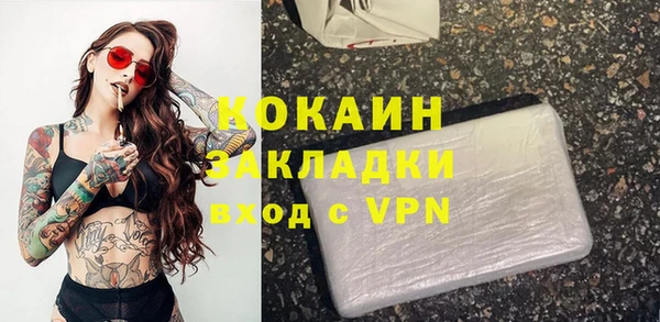 прущие грибы Ладушкин