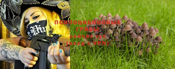 стаф Лабытнанги