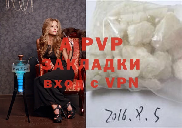 прущие грибы Ладушкин