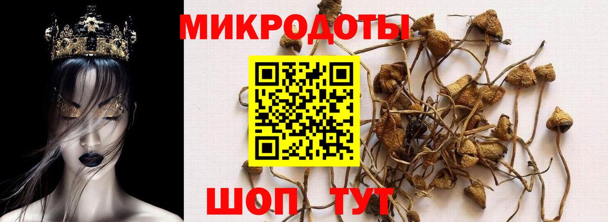 Евпатория  Псилоцибиновые грибы прущие грибы  Вход с VPN 